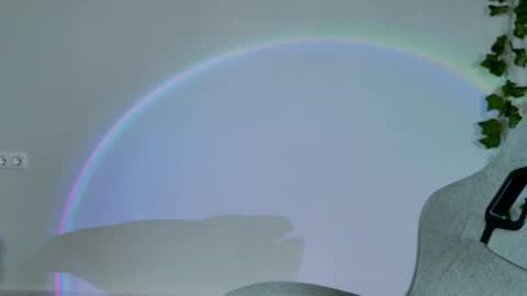 Bella online show from 16, 2, 2026