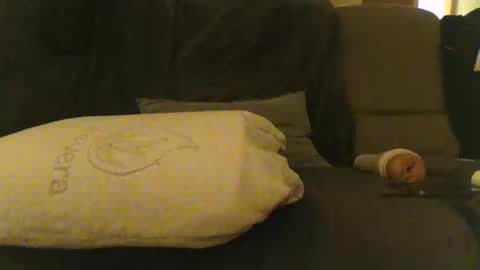 Snapshot of china_murphy chatting on 14, 12, 2024 Murphy-China online show from 14, 12, 2024