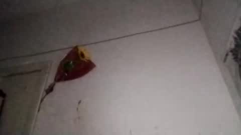 Snapshot of chinanochina11 chatting on 7, 11, 2025 China online show from 7, 11, 2025