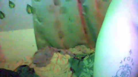 chinny_fuckdoll online show from 31, 3, 2026