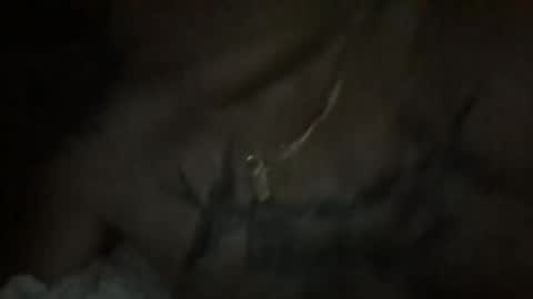 stud4yourwife online show from 4, 5, 2026