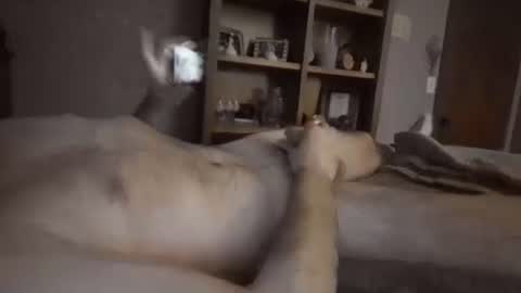 Snapshot of chrisw8121 chatting on 6, 2, 2026 chrisw8121 online show from 6, 2, 2026