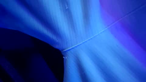 Snapshot of chronicvibez chatting on 1, 3, 2026 chronicvibez online show from 1, 3, 2026