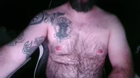 chub bear 99 online show from 21, 4, 2026