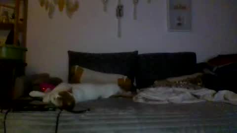 ciasnsyrize1996 online show from 4, 3, 2025