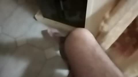 ciccilli online show from 30, 9, 2025