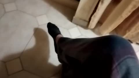 ciccilli online show from 28, 10, 2025