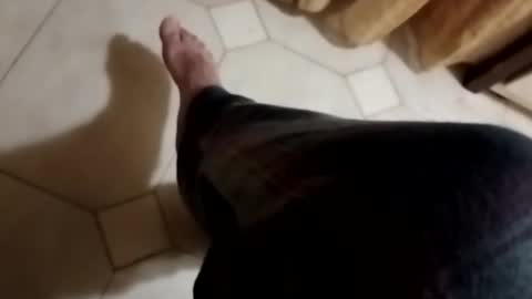 ciccilli online show from 4, 11, 2025