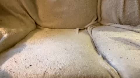 Snapshot of circlejerkslutt chatting on 17, 12, 2024 join the circle online show from 17, 12, 2024