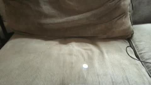 Snapshot of circumsizedbandit chatting on 29, 3, 2026 circumsizedbandit online show from 29, 3, 2026