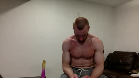 Clarke Cock online show from 17, 3, 2026