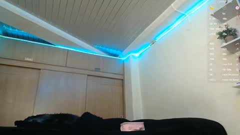 clermontt online show from 14, 2, 2026