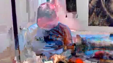 chad online show from 11, 7, 2026