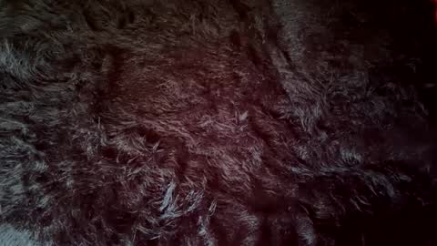 clydeninethousand online show from 20, 9, 2025