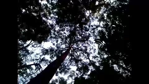 Matriarch Muse online show from 26, 1, 2025