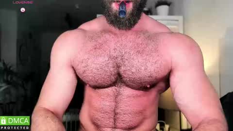 Snapshot of cockheadstud chatting on 4, 3, 2025 MUSCLE STUD online show from 4, 3, 2025