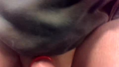 cocksmithog online show from 19, 1, 2025