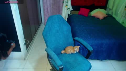 Snapshot of coco_macr chatting on 5, 7, 2026 coco_macr online show from 5, 7, 2026