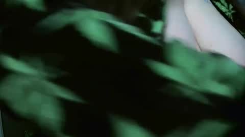 TheGoddessCodie online show from 29, 12, 2024