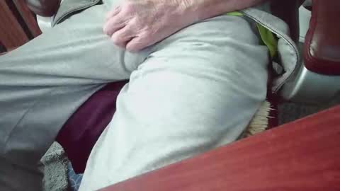 cody81421 online show from 15, 1, 2026