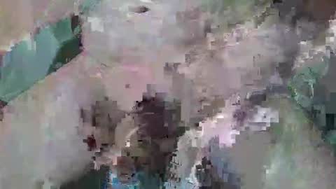 cogela_sin_miedo online show from 6, 10, 2025