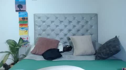 viviana online show from 19, 2, 2025