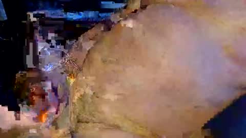 colourlight online show from 23, 3, 2026