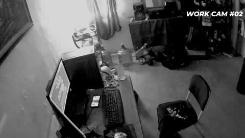 cometodani online show from 16, 4, 2026