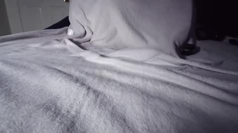 completomuscular online show from 1, 10, 2025