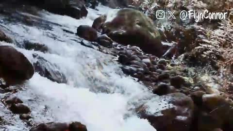 Connor Flyn online show from 27, 4, 2026