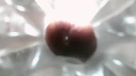 bearded hairy pits big brown cock online show from 7, 12, 2024