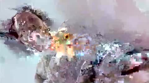 Mount N Drew online show from 17, 11, 2025