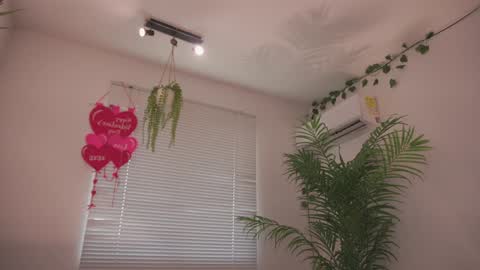 ROSELL 3   online show from 20, 2, 2026