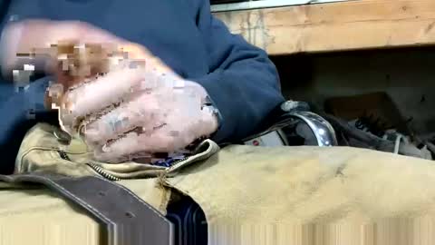 copart84 online show from 28, 12, 2024