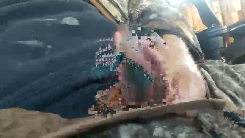 cornfed15c online show from 23, 11, 2025