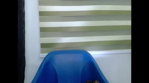 cornxcuntx online show from 15, 11, 2025