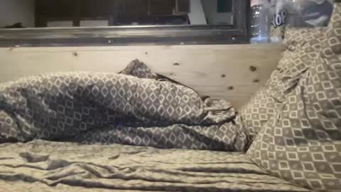 crapaud75018 online show from 8, 1, 2025