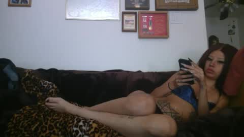 bunni xoxo online show from 25, 6, 2026