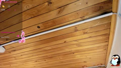 Cristal online show from 10, 2, 2026