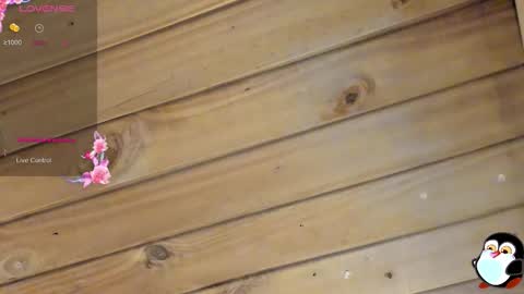 Cristal online show from 22, 3, 2026