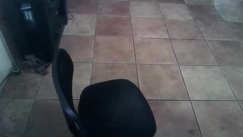 crossdressernola504 online show from 26, 2, 2026