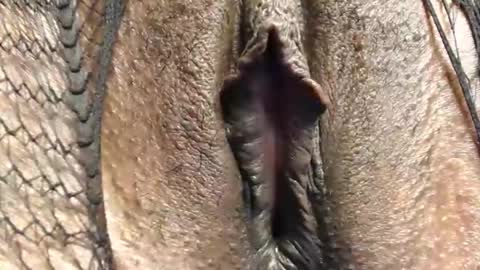 Nambuusi Irene online show from 16, 2, 2026