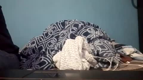 Snapshot of cumbian_chero chatting on 14, 7, 2026 cumbian_chero online show from 14, 7, 2026