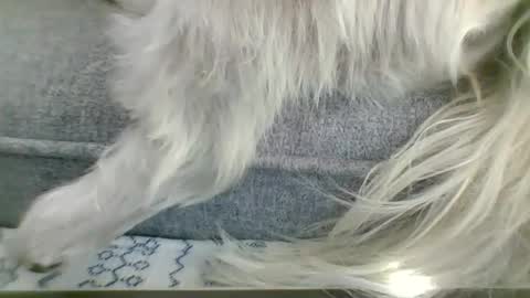 Snapshot of cumfestlover chatting on 14, 9, 2025 cumfestlover online show from 14, 9, 2025