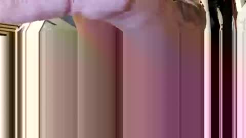 Aprilia online show from 5, 2, 2026