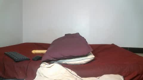 Shiiro online show from 9, 4, 2026