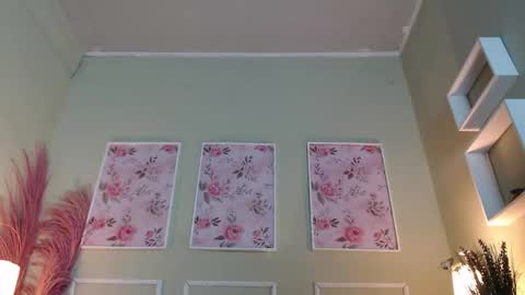 DANI online show from 20, 11, 2025