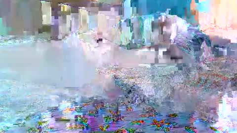 cute_savanna online show from 11, 2, 2026