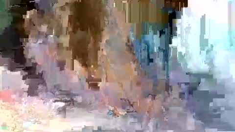 Snapshot of cute_savanna chatting on 10, 3, 2026 cute_savanna online show from 10, 3, 2026