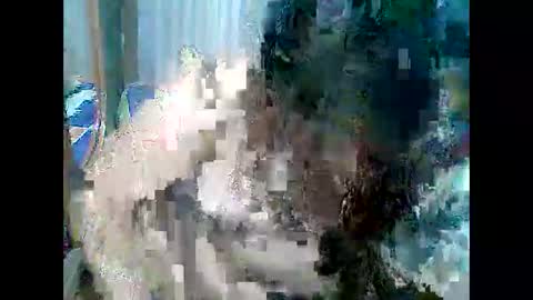 Snapshot of cutechubbyasian chatting on 26, 4, 2026 cutechubbyasian online show from 26, 4, 2026